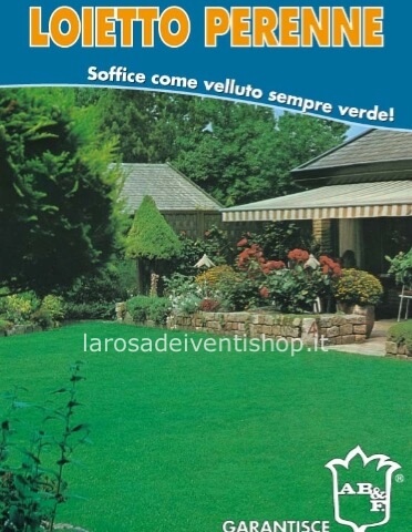 Scatola di sementi erba Loietto perenne.  Adatto per una superficie di 40 mq.