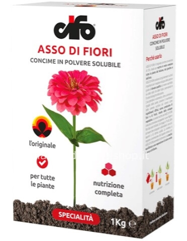 Asso di fiori - Astuccio 1 kg
