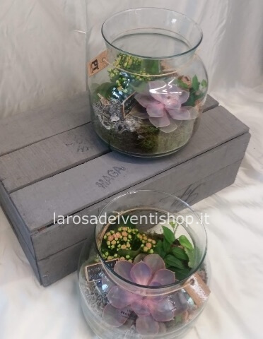 Composizione di piante completa di vaso in vetro diam. 15 x h 20 cm