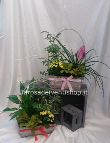 Composizioni con cesto