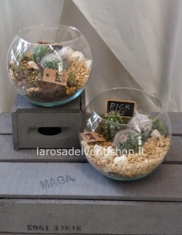 Boccia in vetro con piante grasse