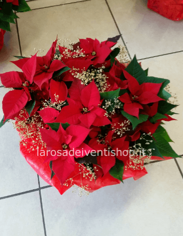 Ciotola con stelle di natale rosse e rami dorati diam. 35 cm