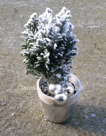 Pinetto innevato con vaso argento e decori com ein foto