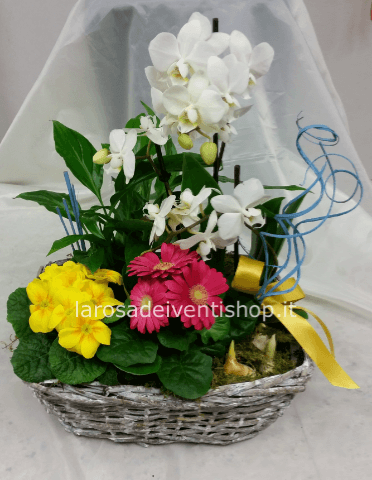 Composizione primaverile con orchidea e cestino come in foto