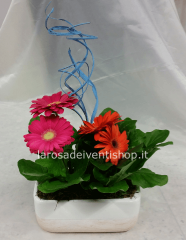 Composizione con mini gerbere e vaso in ceramica 20 x 10 x h 20 cm