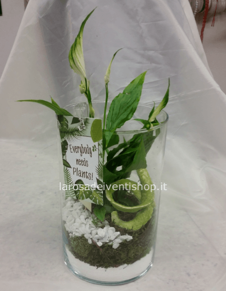 Composizione Spatiphillo