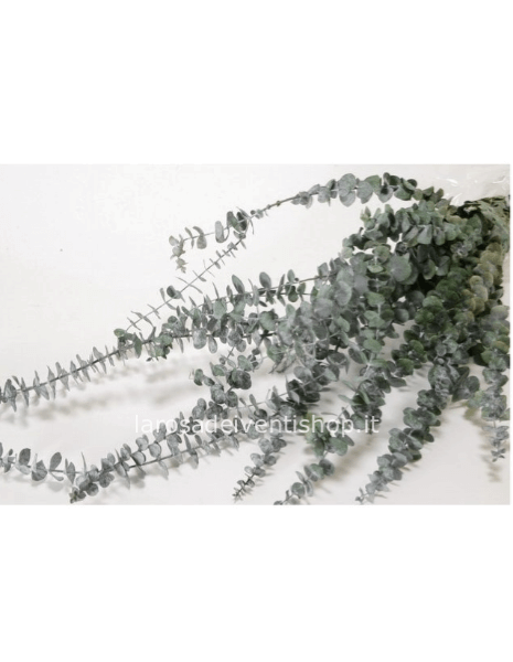 Eucalyptus mazzetto c.a. 50 gr secco lunghezza 60-75cm