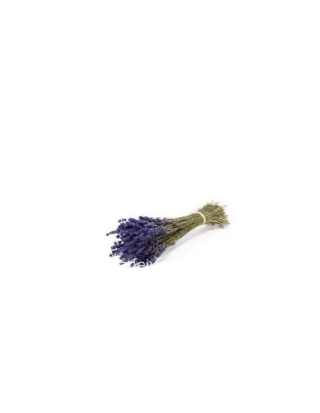 Lavanda mazzo da c.a. 20 gr. naturale extra blue lunga 34-40cm