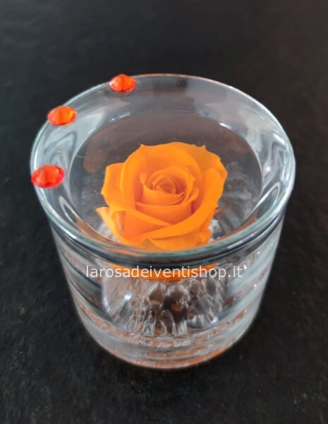 Cilindro in vetro con rosa stabilizzata