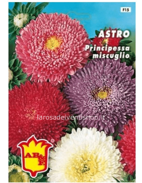Astro principessa miscuglio -  Busta termosaldata dimensioni 12 x 17 cm
