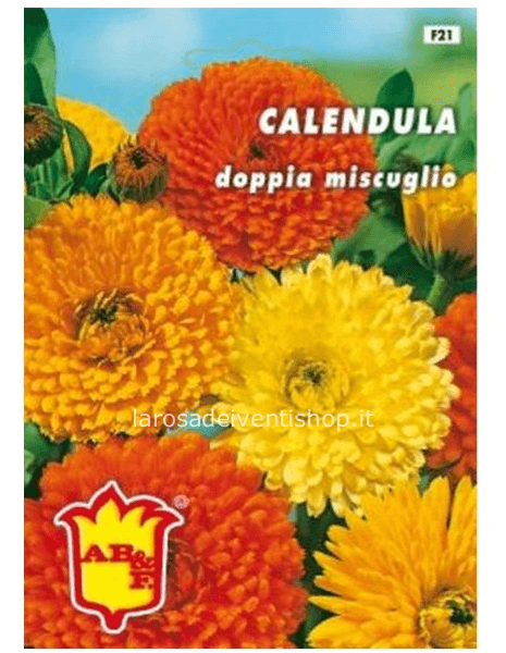 Bustina sementi Calendula