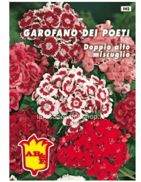 Bustina sementi Garofano dei Poeti