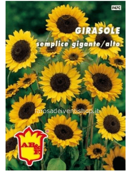 Girasole semplice gigante alto - Busta termosaldata dimensioni 12 x 17 cm