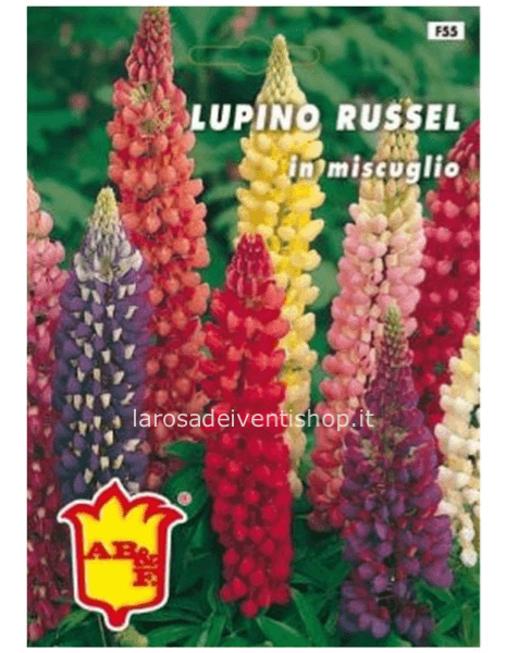 Bustina sementi Lupino