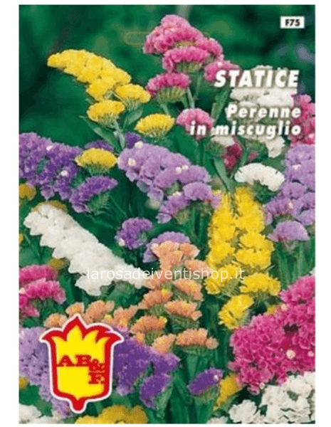 Bustina sementi Statice