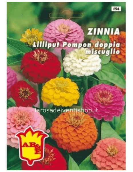 Zinnia Lilliput pompon doppia in miscuglio - Busta termosaldata dimensioni 12 x 17 cm