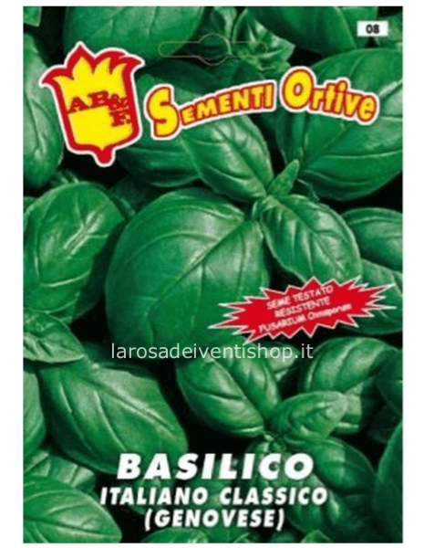 Semi di Basilico Italiano classico Genovese - Busta termosaldata dimensioni 12 x 17 cm