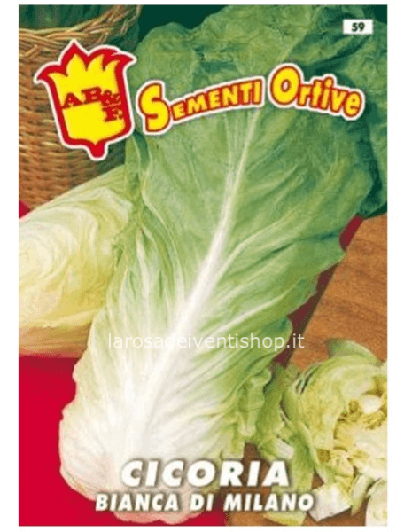 Bustina sementi Cicoria Milano