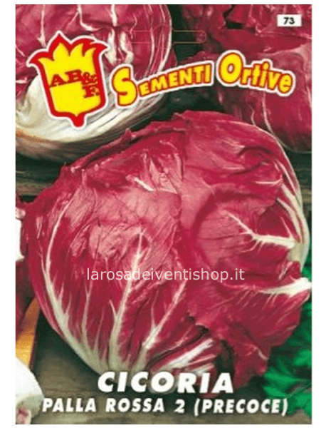 Semi di Cicoria Palla rossa - Busta termosaldata dimensioni 12 x 17 cm