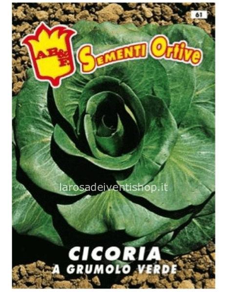 Bustina sementi Cicoria Grumolo Verde
