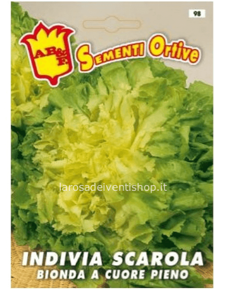 Bustina sementi Indivia Scarola