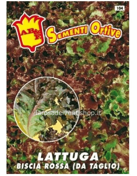 Semi di Lattuga biscia rossa - Busta termosaldata dimensioni 12 x 17 cm