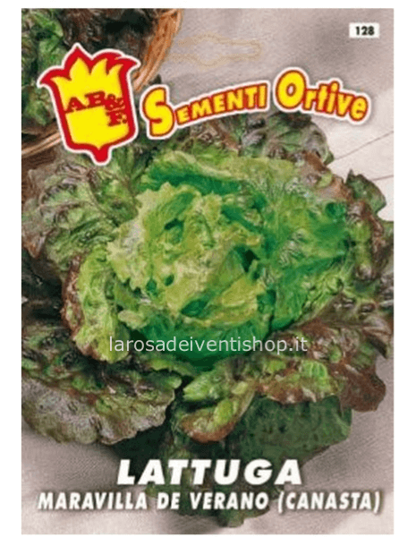 Semi di Lattuga Maravilla de Verano Canasta - Busta termosaldata dimensioni 12 x 17 cm