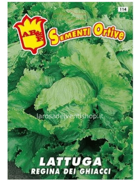 Bustina sementi Lattuga Regina dei Ghiacci