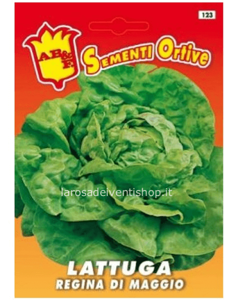 Bustina sementi Lattuga Regina di Maggio