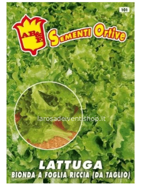 Bustina sementi Lattuga Bionda riccia