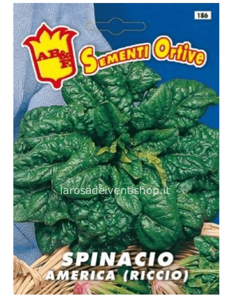 Bustina sementi Spinacio riccio