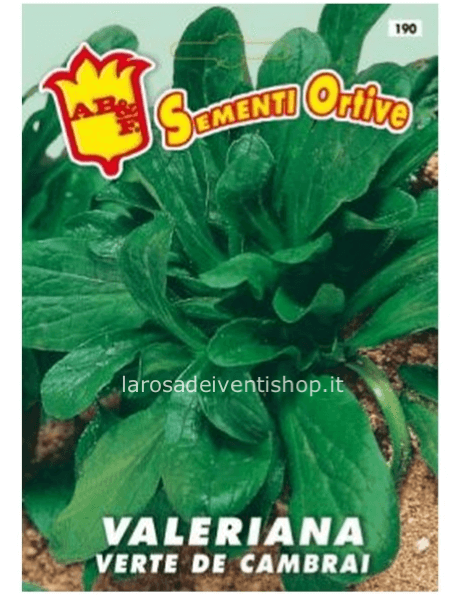 Semi di Valeriana Verte de Cambrai - Busta termosaldata dimensioni 12 x 17 cm