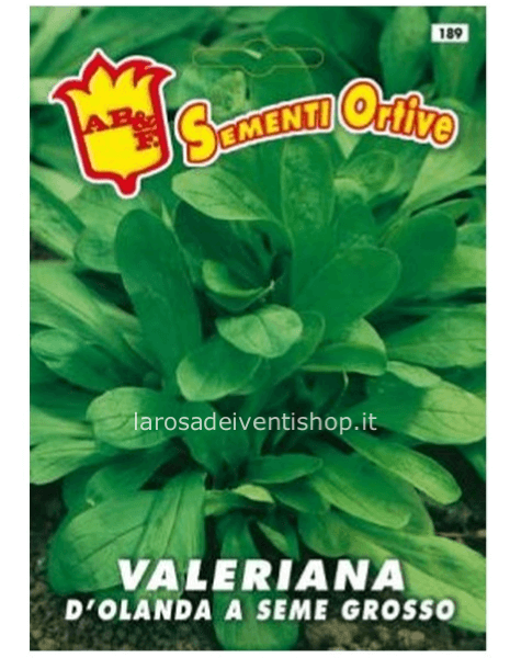 Bustina sementi Valeriana a seme grosso