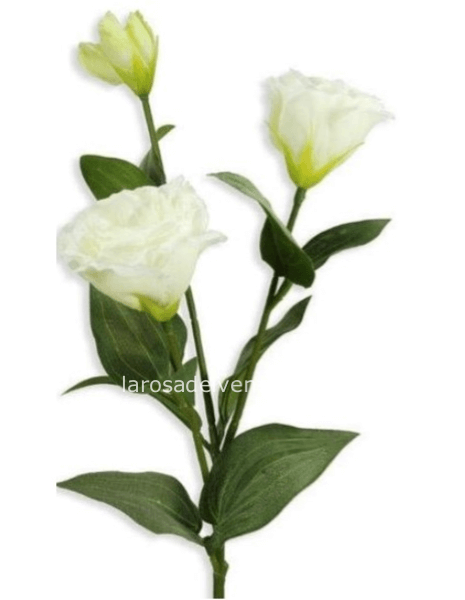 Lisianthus bianco sintetico, stelo lunghezza 70 cm - prezzo a stelo non confezionato