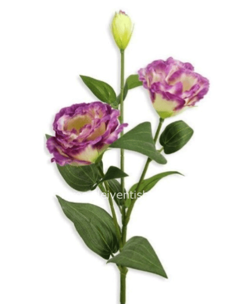 Lisianthus bianco-rosa sintetico