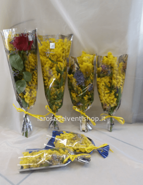 Busta Mimosa piccola