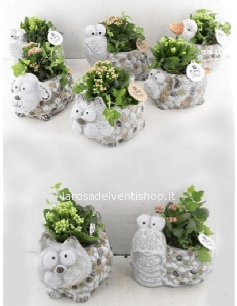 Vasetti Animali con pianta