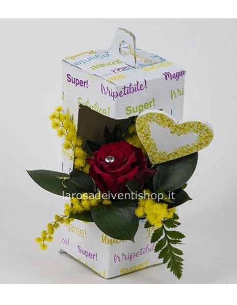 Box regalo Mimosa e Rosa Rossa