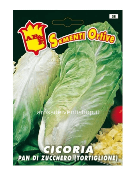 Bustina sementi Cicoria Pan di Zucchero
