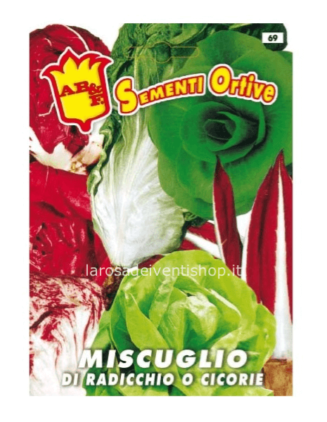Bustina sementi Miscuglio di Radicchio e Cicorie