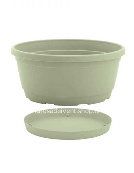 Ciotola Rumba Salvia