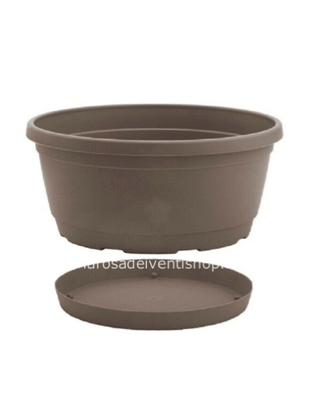 Ciotola Rumba Tortora