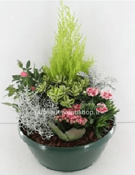 Composizione in ciotola mista da esterno diametro 20 cm