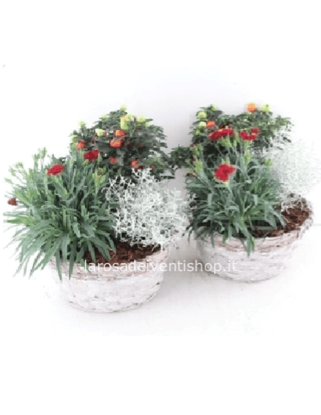 Composizione con cestino