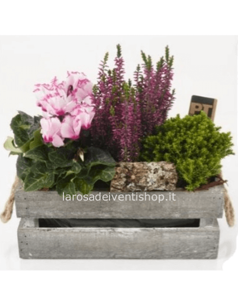 Composizione cassetta legno