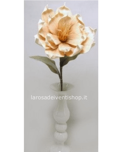 Magnolia sintetica Pesca