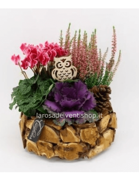 Composizione tonda vaso in legno