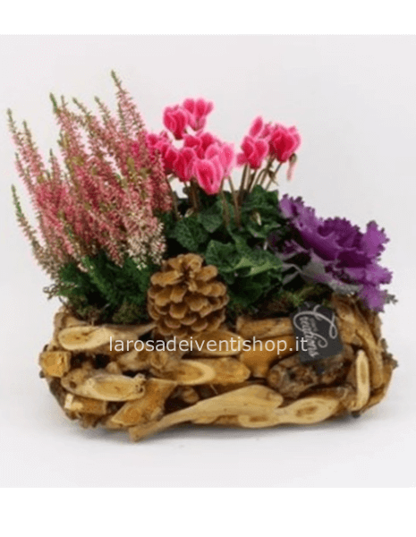 Composizione vaso in legno ovale lunghezza 30 cm