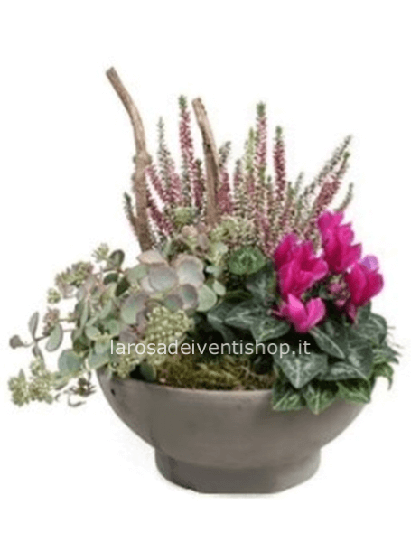 Composizione fiori misti di stagione con vaso in terracotta diametro 23 cm