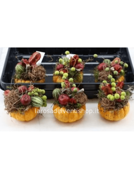 Zucchette decorative